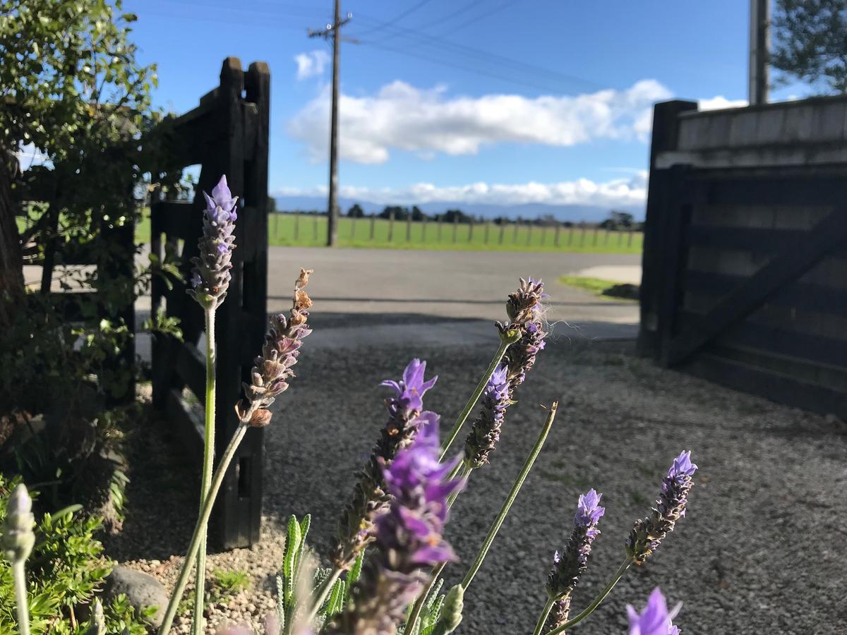 Вилла Lavender53 Мартинборо Экстерьер фото